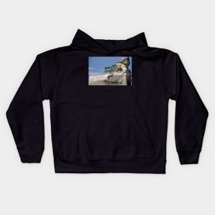 Nouvelle Zélande - Coromandel, Cathedral Coves Kids Hoodie